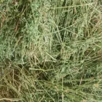 600 بسته پرس چین اول و دوم