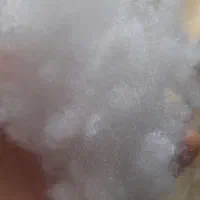 لایکوفنری درجه یک