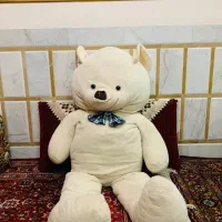 عروسک بزرگ وسالم درحد