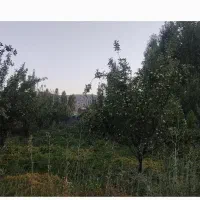 فروش باغ ثمری|فروش دفتر صنعتی، کشاورزی، تجاری|یاسوج, |دیوار