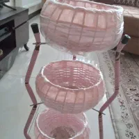 جای پیاز و سیب زمینی