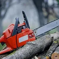 خرید درخت و چوب باغچه و حیاط و درخت کهنه سقفی