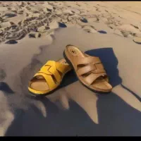 دمپایی طبی|کیف، کفش، کمربند|تبریز, |دیوار