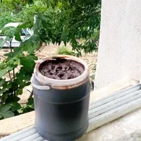 فروش رب آلوچه درجه یک