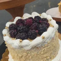 شاه توت