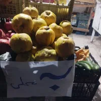 به محلی ارگانیک|خوردنی و آشامیدنی|رشت, یخسازی|دیوار