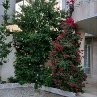 220کتری-مستقل-ویلایی-گلستان-چهارخوابه