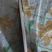 TCL NEXPEPR40|موبایل|بهار, |دیوار