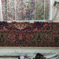 قالی دست بافت