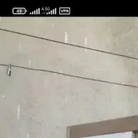 کبوتر فروشی