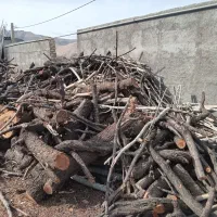 چوب بادام شومینه ای|خدمات باغبانی و درختکاری|تفرش, |دیوار