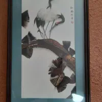 قاب