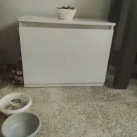 جاکفشی سفید