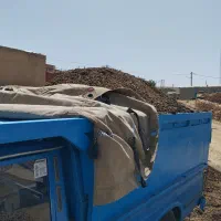 کود حیوانی گوسفندی