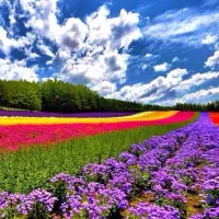 راهنمایی زندگی