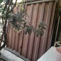 درب حیاط یاویلا خام نو بدون رنگ