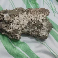 سنگ مرجان آکواریوم