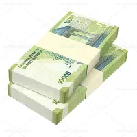 نیاز به سرمایه