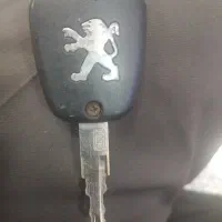 پیداشده
