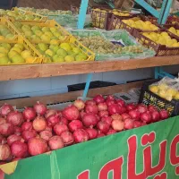 فروش میزهای میوه فروشی