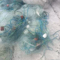 تور لاری میدی