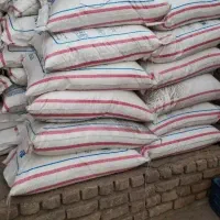 کودفروشی۶۰عدد