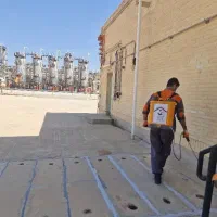شرکت تخصصی سمپاشی کنترل آفات سم پاشی موریانه زدایی