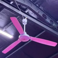 پنکه سقفی|پنکه و تصفیه‌کنندهٔ هوا|پاکدشت, پاکدشت (مامازند)|دیوار