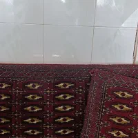 پشتی|پشتی|شیراز, مسلم|دیوار