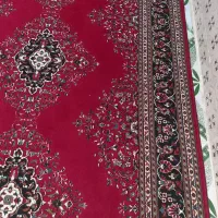 کناره زرشکی