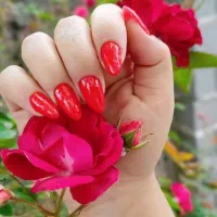 کاشت و ترمیم