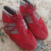 دوبنده وکفش کشتی|لباس|سنندج, |دیوار