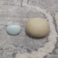 سنگ|جواهرات|کرج, کمال‌شهر|دیوار