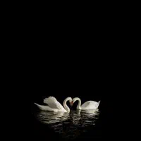 کد دعوت رو بزنید و طلا دریافت کنید