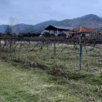 زمین هکتاری داخل بافت و خارج بافت حومه شهر