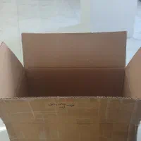 کارتن