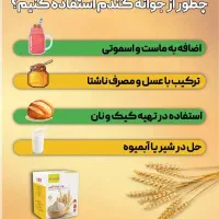 پودر جوانه گندم|خوردنی و آشامیدنی|ورامین, شهرک فجر|دیوار