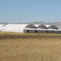 فروش گلخانه