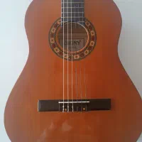 گیتار ebony C-2|گیتار، بیس، امپلیفایر|تهران, تجریش|دیوار