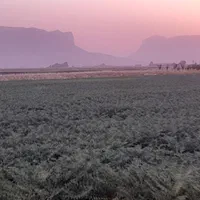 فروش زمین ۳۰۰۰ متری در نقش رستم|فروش زمین و ملک کلنگی|مرودشت, نقش رستم|دیوار