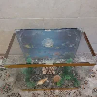 اگواریوم شرکتی|ماهی|شیراز, آزادگان|دیوار