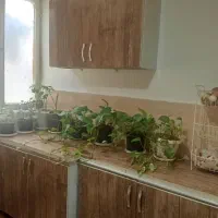 اجاره خونه سویت