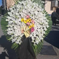 انواع تاج گل ختمی جشنی نمایشگاهی