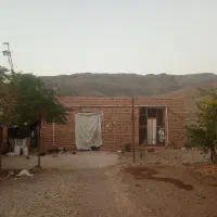 فروش یا اجاره گاوداری باپروانه 100راسی گوشتی