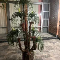 درختچه مصنوعی بزرگ و زیبا