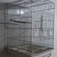 قفس طوطی و عروس|لوازم جانبی حیوانات|قلعه نو, |دیوار