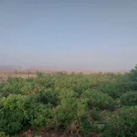 باغ فروشی دز جوشقان قالی|فروش خانه و ویلا|میمه, |دیوار