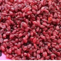 کارگر ساده همراه با بیمه و غذا