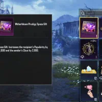 دو تا چیکن 50کایی دونه 320