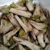 کنگر پاک شده